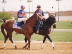 Illinois Derby 1998