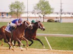 Sportsmans Park Illinois Derby 1998