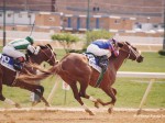 Sportsmans Park Illinois Derby 1998