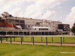 newmarket 98 10