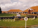 newmarket 98 11