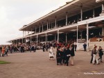 newmarket 98 12