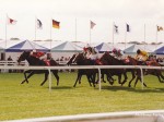 newmarket 98 13