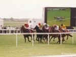 newmarket 98 16