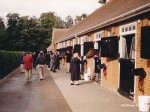 newmarket 98 6
