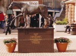 newmarket 98 8