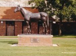 newmarket 98 9