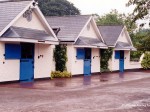 coolmore 99 11