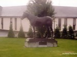 coolmore 99 12
