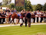 lingfield 99 2