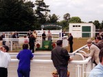 lingfield 99 6