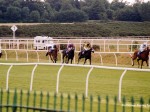 lingfield 99 7