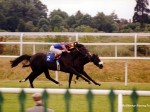 lingfield 99 8