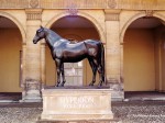 newmarket museum 99 3