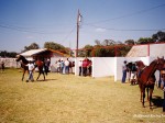 Anthony Downs racetrack