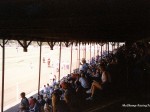 Anthony Downs racetrack