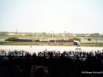 Atlantic City Racecourse