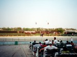 Atlantic City Racecourse