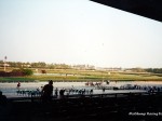 Atlantic City Racecourse