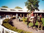 Arlington Park