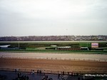 Aqueduct racetrack