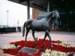 Woodbine Racetrack