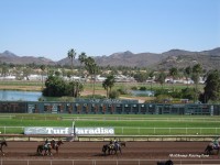 Turf Paradise 2009