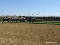 Hawthorne Spring 2010