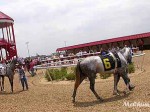 Indiana Downs