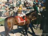 Arlington Park, Arlington Million Weekend 1994