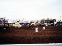 Northlands Park
