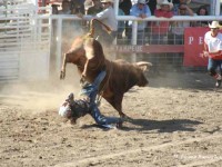 Omak Stampede Rodeo 2011