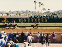 Turf Paradise 1995