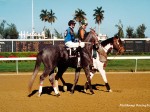 Hialeah Park