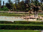 Hialeah Park