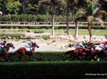 Hialeah Park