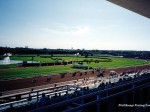 Arlington Park