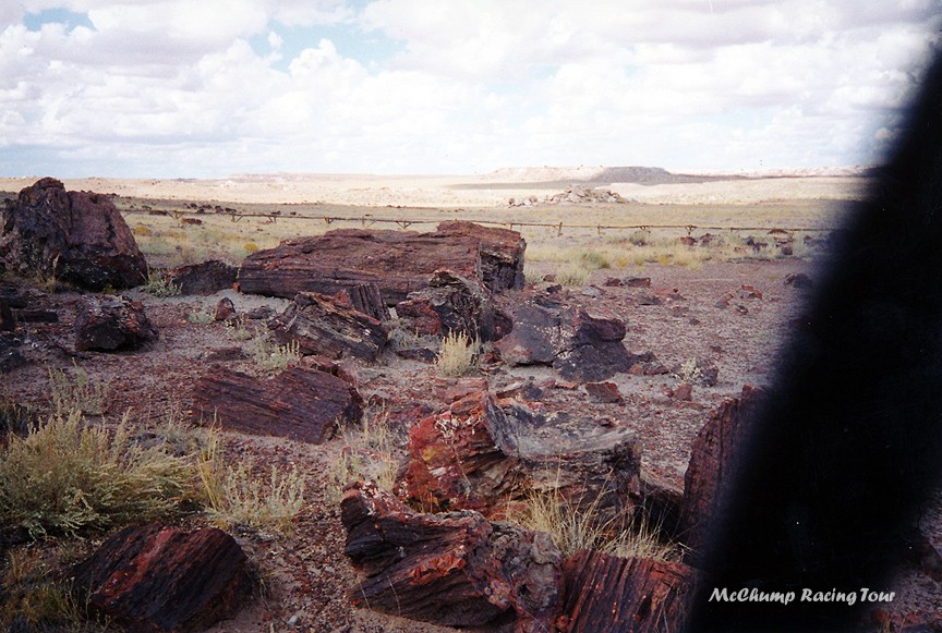 petrified forest 01 1