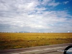 Radio Telescope