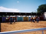 Apache County Fair