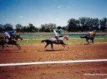 Eureka Downs racetrack