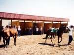 North Dakota Horse Park racetrack