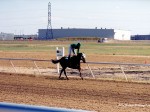 North Dakota Horse Park racetrack