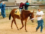 Humboldt County Fair, Ferndale, CA, 2003