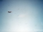 Humboldt County Fair, Ferndale, CA, 2003