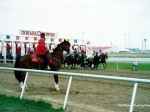 Indiana Downs