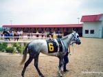 Indiana Downs