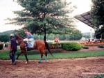 River Downs