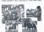 Hazel Park Raceway program