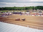 Miles City, and Bucking Horse Sale racing, 2003